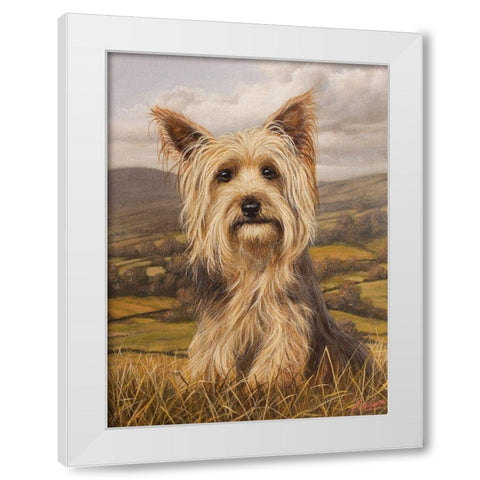 343 White Modern Wood Framed Art Print by Silver, John