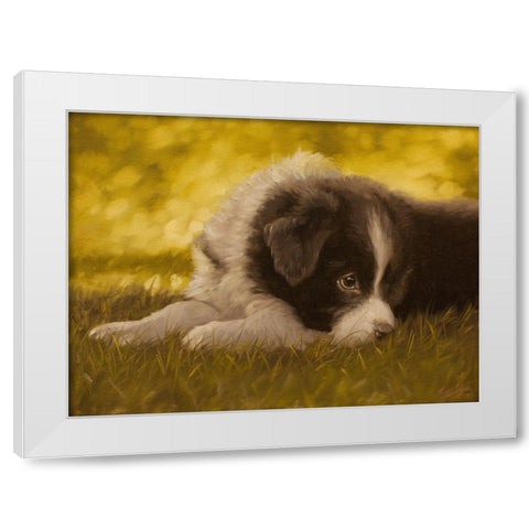 351 White Modern Wood Framed Art Print by Silver, John