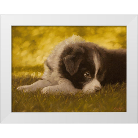 351 White Modern Wood Framed Art Print by Silver, John