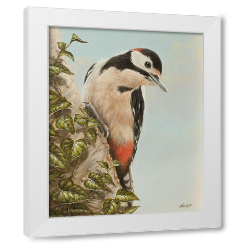 WoodPecker and Ivy White Modern Wood Framed Art Print by Silver, John