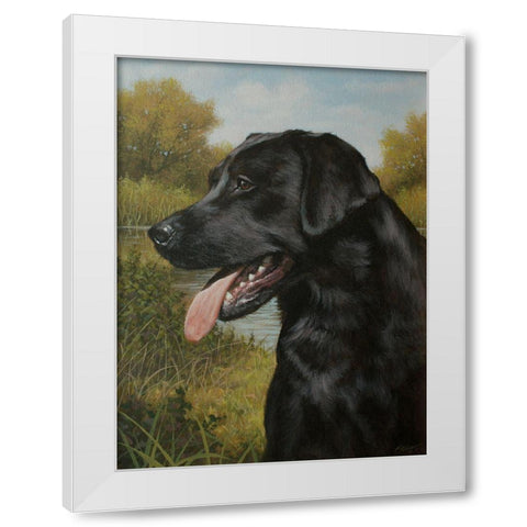 C973 Labrador by the Pool White Modern Wood Framed Art Print by Silver, John