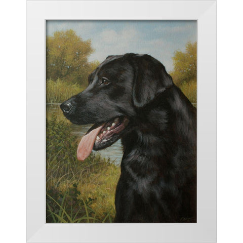 C973 Labrador by the Pool White Modern Wood Framed Art Print by Silver, John