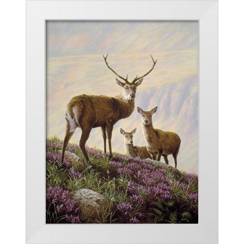 Js29-B White Modern Wood Framed Art Print by Silver, John