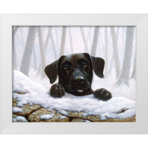 Js52-C White Modern Wood Framed Art Print by Silver, John