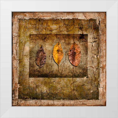 Autumn Leaves I White Modern Wood Framed Art Print by LightBoxJournal