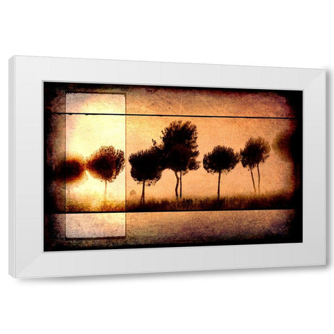 For the Love of Trees I White Modern Wood Framed Art Print by LightBoxJournal