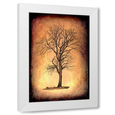 For the Love of Trees II White Modern Wood Framed Art Print by LightBoxJournal