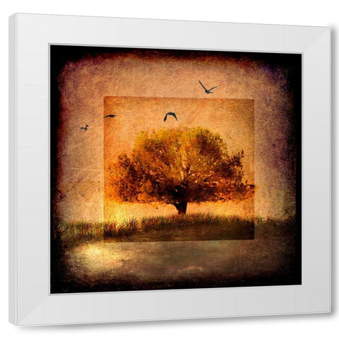 For the Love of Trees III White Modern Wood Framed Art Print by LightBoxJournal