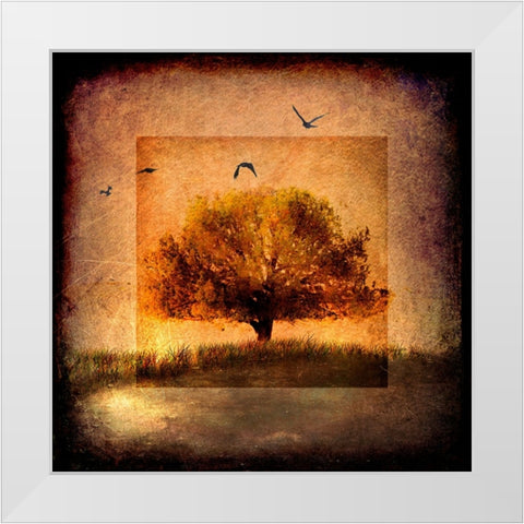 For the Love of Trees III White Modern Wood Framed Art Print by LightBoxJournal