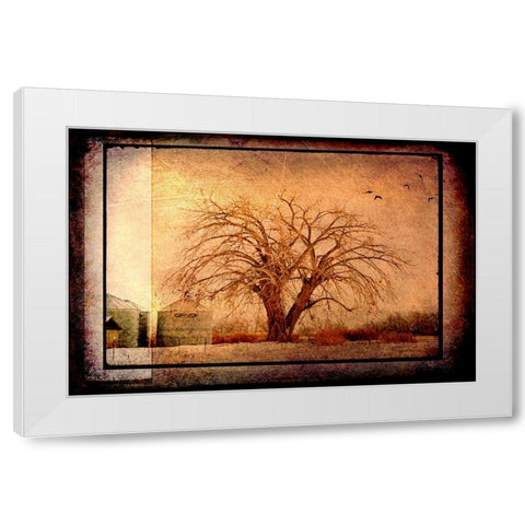 For the Love of Trees IV White Modern Wood Framed Art Print by LightBoxJournal