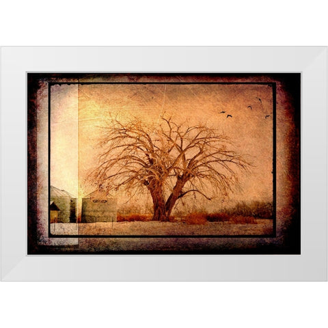 For the Love of Trees IV White Modern Wood Framed Art Print by LightBoxJournal