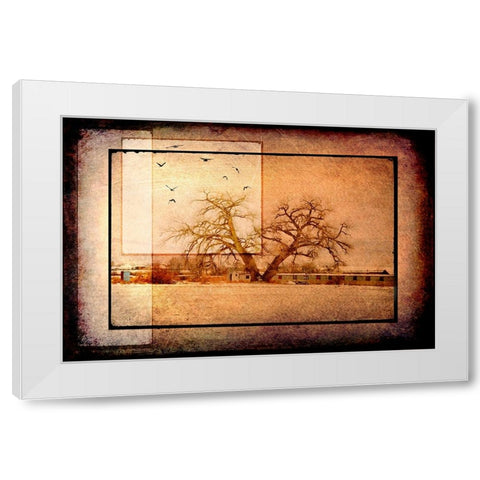 For the Love of Trees V White Modern Wood Framed Art Print by LightBoxJournal