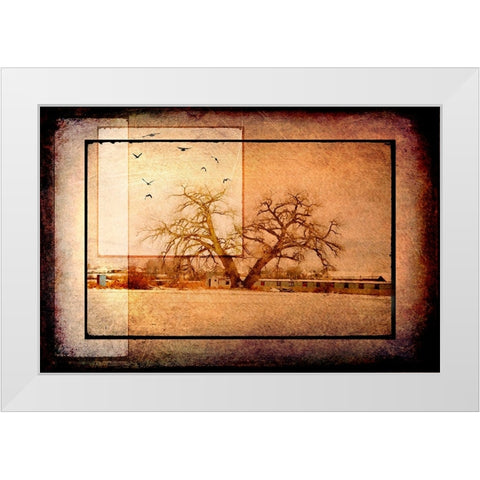 For the Love of Trees V White Modern Wood Framed Art Print by LightBoxJournal