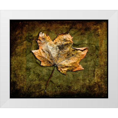 Metallic Leaf 1 White Modern Wood Framed Art Print by LightBoxJournal