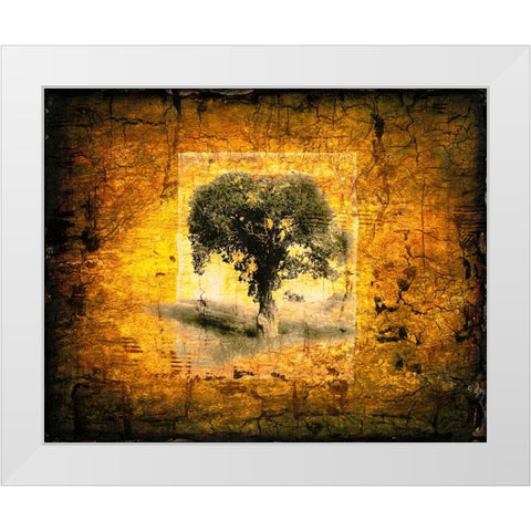 Shadow Trees White Modern Wood Framed Art Print by LightBoxJournal