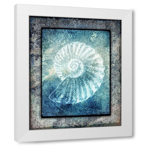 Hello Beach Shell I White Modern Wood Framed Art Print by LightBoxJournal