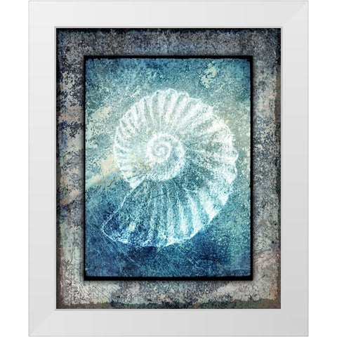 Hello Beach Shell I White Modern Wood Framed Art Print by LightBoxJournal