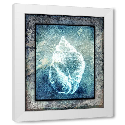 Hello Beach Shell II White Modern Wood Framed Art Print by LightBoxJournal
