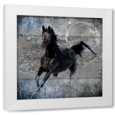 Black Mare 1 White Modern Wood Framed Art Print by LightBoxJournal