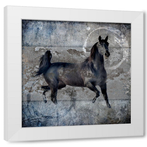 Black Mare 2 White Modern Wood Framed Art Print by LightBoxJournal