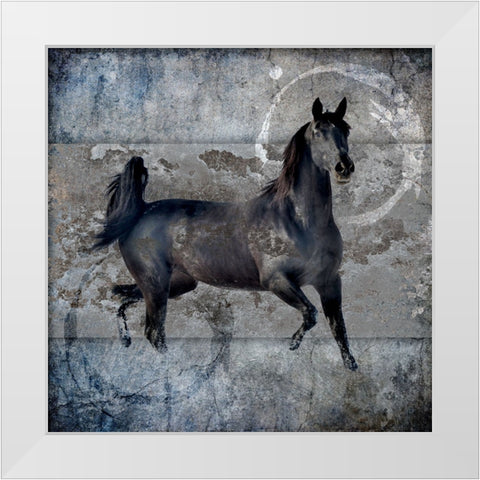 Black Mare 2 White Modern Wood Framed Art Print by LightBoxJournal