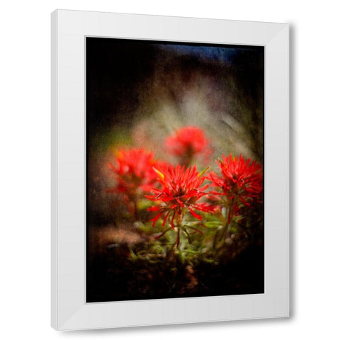 Desert Flower 1 White Modern Wood Framed Art Print by LightBoxJournal