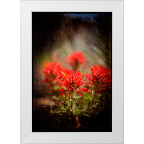 Desert Flower 1 White Modern Wood Framed Art Print by LightBoxJournal