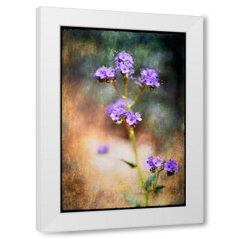 Desert Flower 2 White Modern Wood Framed Art Print by LightBoxJournal