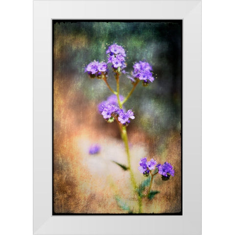 Desert Flower 2 White Modern Wood Framed Art Print by LightBoxJournal