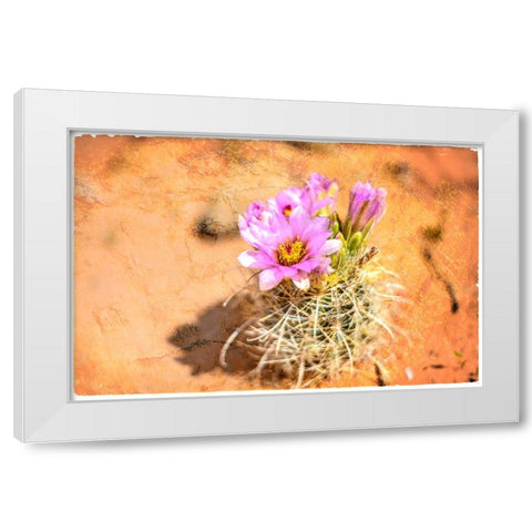 Desert Flower 4 White Modern Wood Framed Art Print by LightBoxJournal