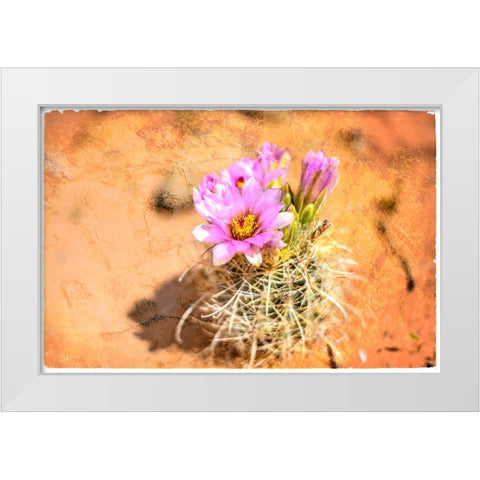 Desert Flower 4 White Modern Wood Framed Art Print by LightBoxJournal