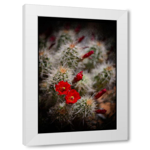 Desert Flower 6 White Modern Wood Framed Art Print by LightBoxJournal