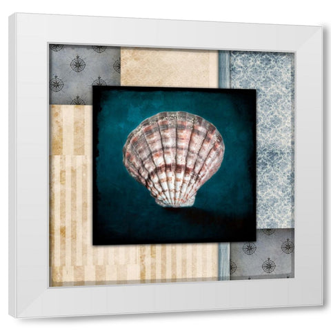 Blue Sea Clam Shell 2 White Modern Wood Framed Art Print by LightBoxJournal