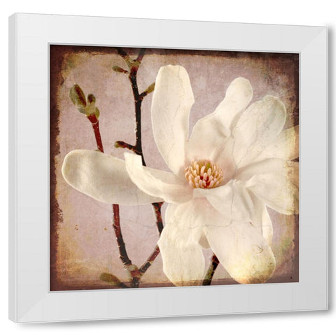 Paper Magnolia Closeup White Modern Wood Framed Art Print by LightBoxJournal