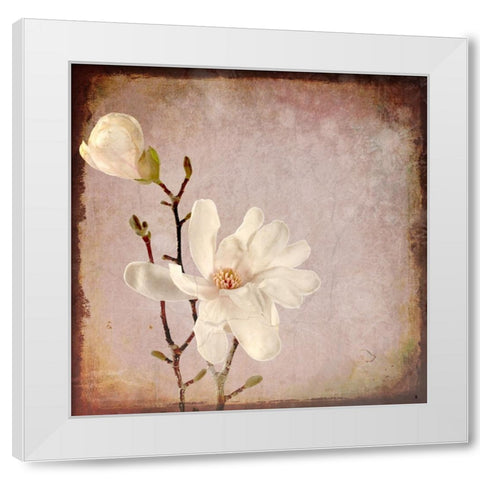 Paper Magnolia Duo White Modern Wood Framed Art Print by LightBoxJournal