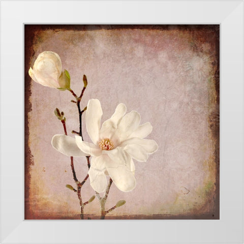 Paper Magnolia Duo White Modern Wood Framed Art Print by LightBoxJournal