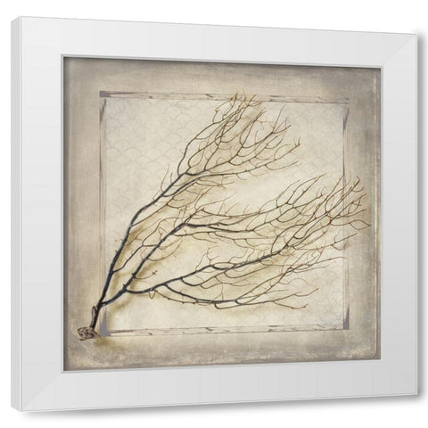 Starfish Sea Leaf White Modern Wood Framed Art Print by LightBoxJournal