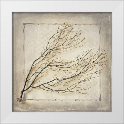 Starfish Sea Leaf White Modern Wood Framed Art Print by LightBoxJournal