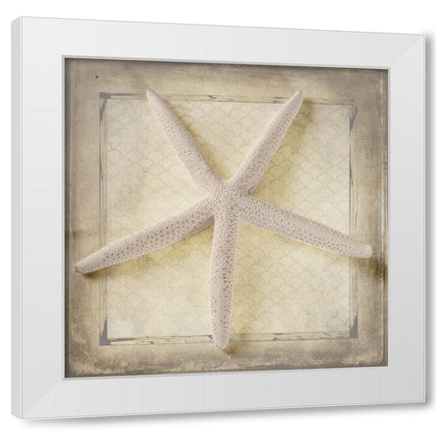 Starfish White Modern Wood Framed Art Print by LightBoxJournal