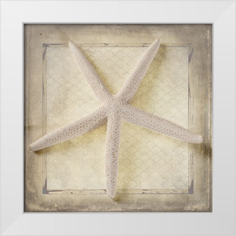 Starfish White Modern Wood Framed Art Print by LightBoxJournal