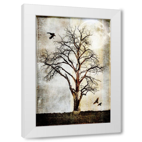 Cottonwood Tree Part 02 White Modern Wood Framed Art Print by LightBoxJournal