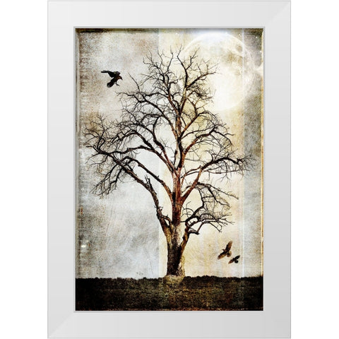 Cottonwood Tree Part 02 White Modern Wood Framed Art Print by LightBoxJournal