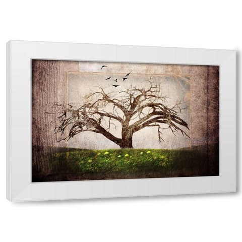 Cottonwood Tree Part 03 White Modern Wood Framed Art Print by LightBoxJournal