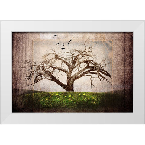 Cottonwood Tree Part 03 White Modern Wood Framed Art Print by LightBoxJournal