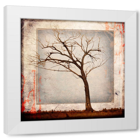 Cottonwood Tree Part 05 White Modern Wood Framed Art Print by LightBoxJournal