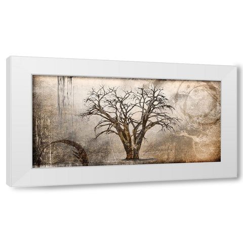 Cottonwood Tree Part 07 White Modern Wood Framed Art Print by LightBoxJournal