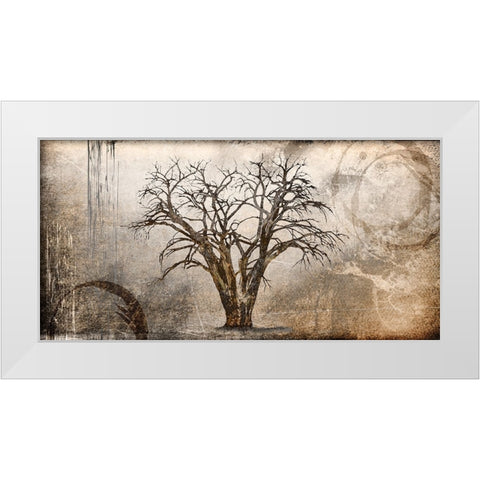 Cottonwood Tree Part 07 White Modern Wood Framed Art Print by LightBoxJournal