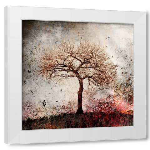 Cottonwood Tree Part 09 White Modern Wood Framed Art Print by LightBoxJournal