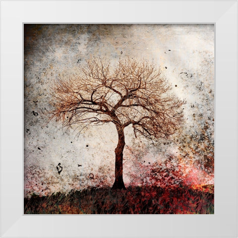 Cottonwood Tree Part 09 White Modern Wood Framed Art Print by LightBoxJournal