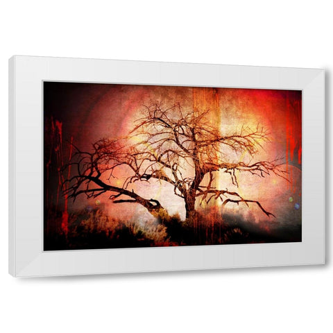 Cottonwood Tree Part 10 White Modern Wood Framed Art Print by LightBoxJournal